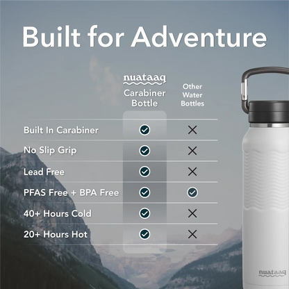 Gray carabiner water bottle with carabiner on a mountain background, showing features of nuataaq carabiner bottles.
